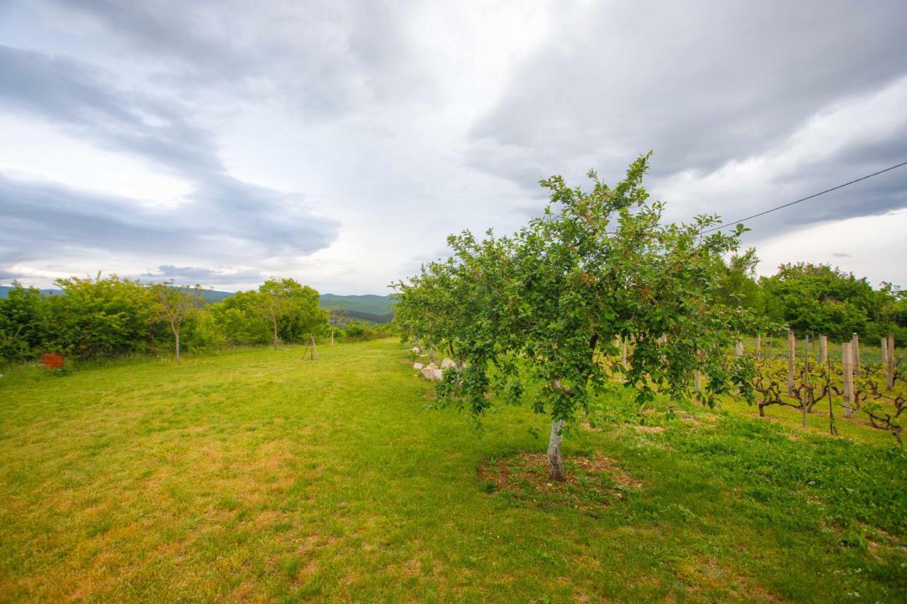 Vila Casa Di Oliva-House With Heated Pool & Jacuzzi In Trilj, Croatia Exteriér fotografie
